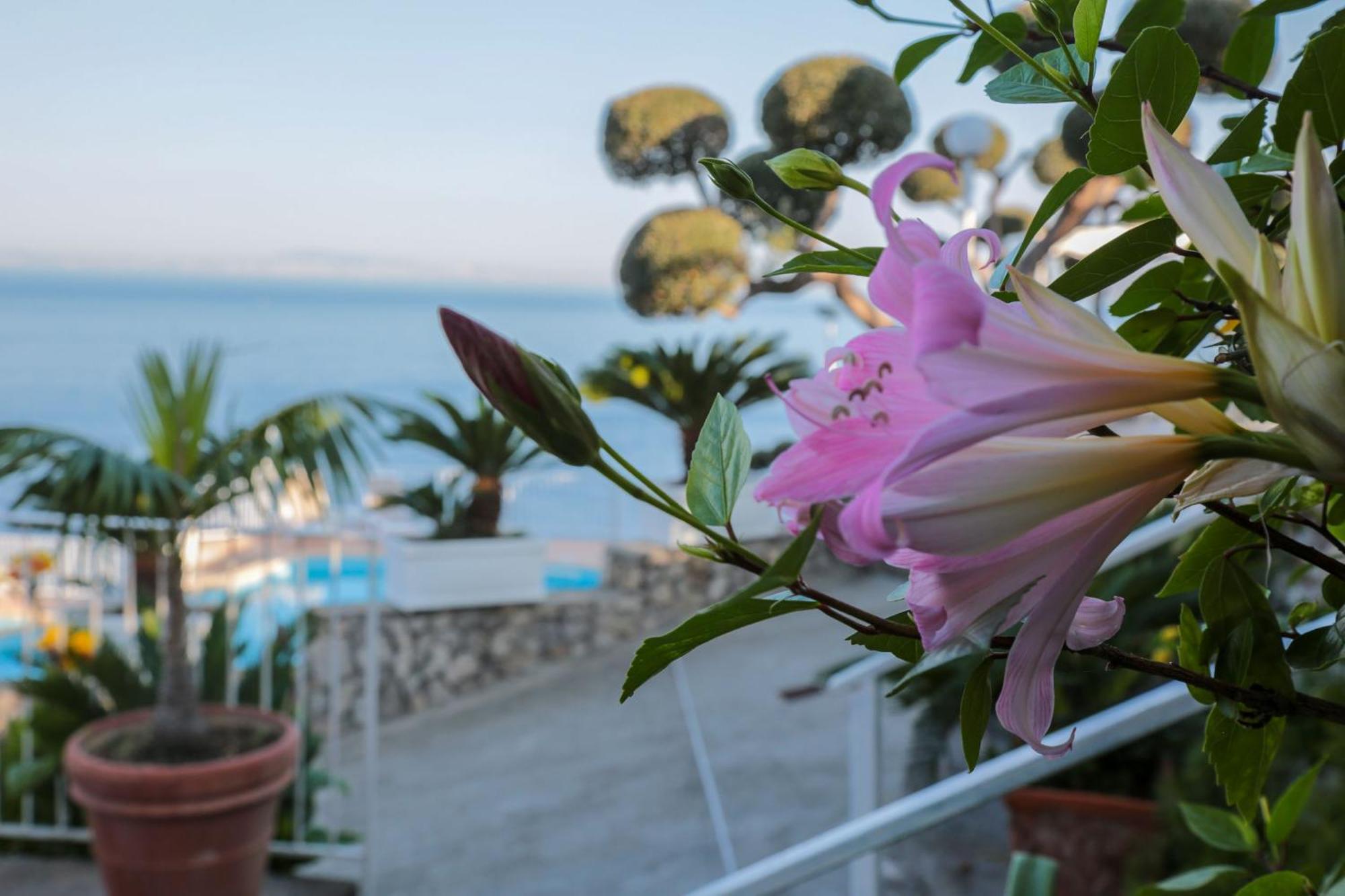 Hotel Villa Lubrense Sorrento Massa Lubrense Kültér fotó